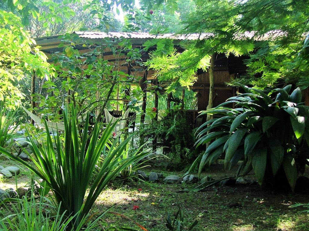 Los Mineros Guesthouse Dos Brazos Luaran gambar