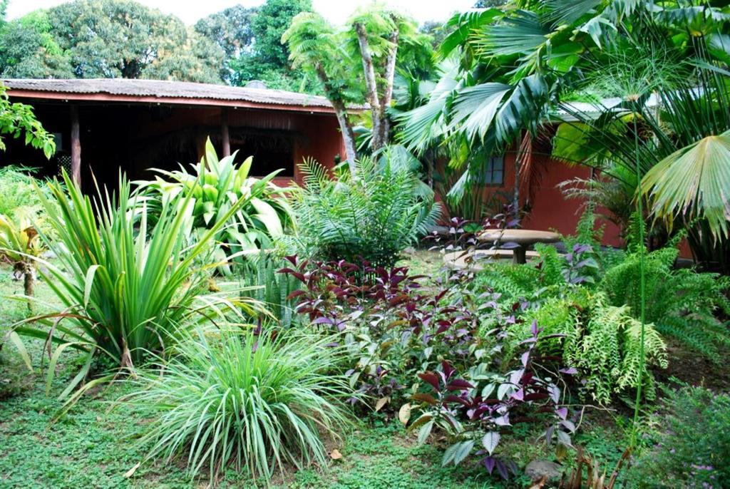 Los Mineros Guesthouse Dos Brazos Luaran gambar