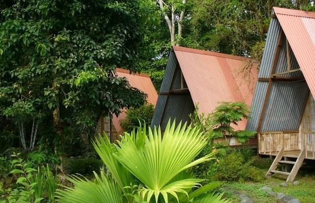 Los Mineros Guesthouse Dos Brazos Bilik gambar